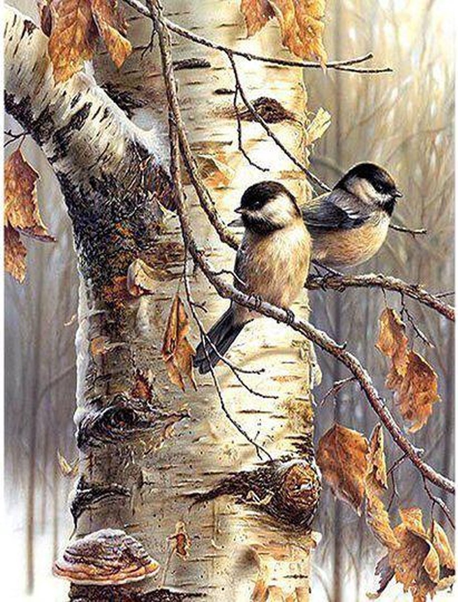 Lienz® Diamond Painting volwassenen 40x50cm - Rond - Vogeltjes in boom - Natuur - Pakket Volwassenen