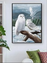 Diamond Painting Volwassenen - Diamond Painting Kinderen - Uil - 30x40cm
