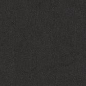 Folia FO-612590 Fotokarton 50x70cm 300gr Pak A 25 Vel Zwart