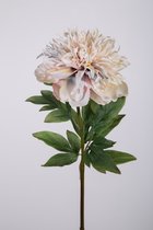 Kunstbloem - set van 2 - Pioenroos - decoratieve tak -  62 cm - Wit