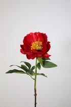 Pioenroos - zijden bloem - rood - topkwaliteit - 53cm