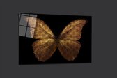 Golden butterfly GC 100x65 7mm Forex + plexiglas met luxe ophangsysteem