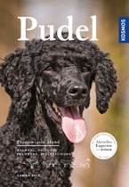 Praxiswissen Hund - Pudel