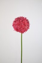 Kunstbloem - set van 2 - Allium - decoratieve tak - 75 cm - fuchsia cerise