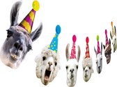Joya® Hondenslinger | Honden Slinger | Feestversiering Decoratie | Hond | Hond Verjaardag | Dierenverjaardag | Dieren Verjaardag