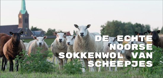 Scheepjes