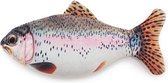 Jolly moggy natural catnip trout 21 cm