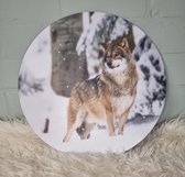 Muurcirkel Wolf 40 cm