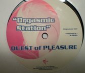 Orgasmic Station / Organ Construction