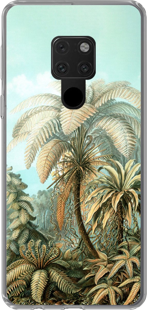 Telefoonhoesje Geschikt voor Huawei P40 Lite hoesje - Filicinae - Haeckel - Oude meesters - Siliconen Telefoonhoesje Telefoonhoesje