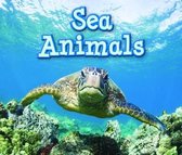 Animals In Their Habitats Sea