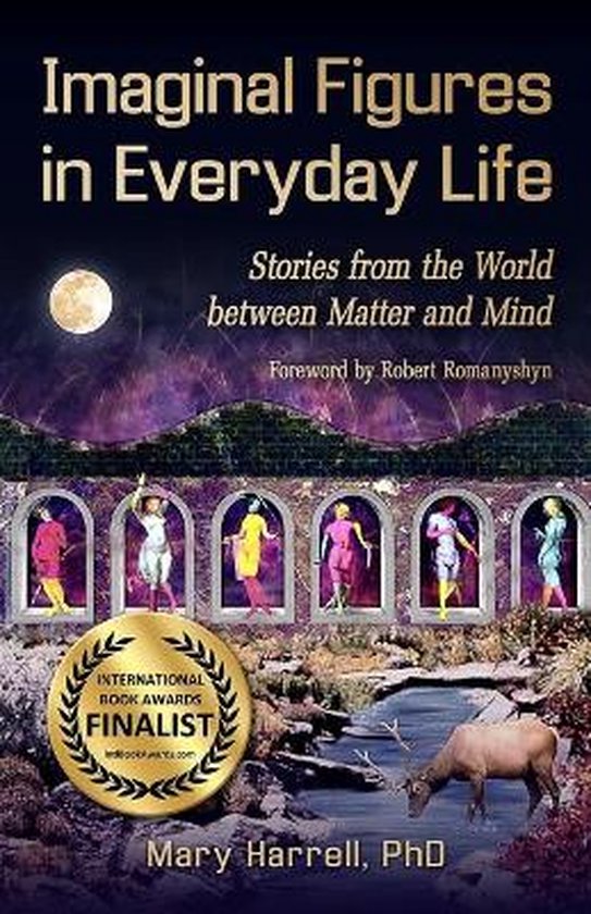 Imaginal Figures In Everyday Life - cover