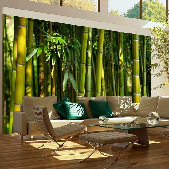 Papier peint photo - Forêt de bambou asiatique. | bol