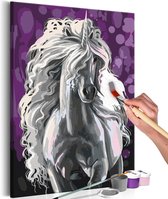 Doe-het-zelf op canvas schilderen - White Unicorn.