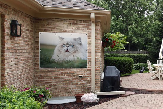 Tuinposter 120x90 cm - Tuindecoratie Grijze Perzische kat met lichtblauwe ogen - Poster voor in de tuin - Buiten decoratie - Schutting tuinschilderij - Tuindoek muurdecoratie - Wanddecoratie balkondoek