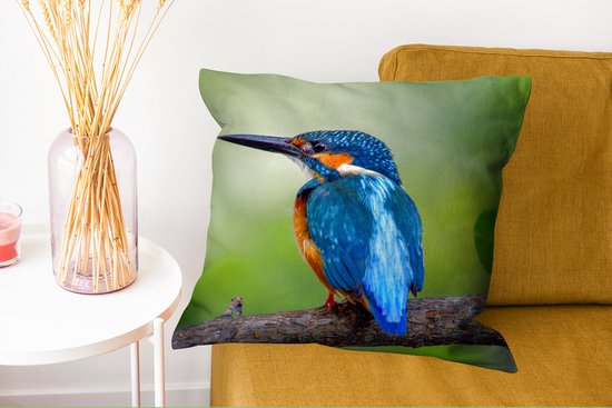 Coussins Coussins décoratifs - Oreillers Salon - 50x50 cm - Martin-pêcheur - Branche - Blauw