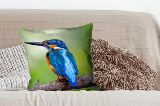 Coussins Coussins décoratifs - Oreillers Salon - 50x50 cm - Martin-pêcheur - Branche - Blauw