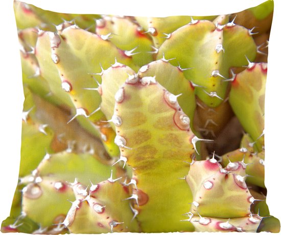 Sierkussens - Kussentjes Woonkamer - 40x40 cm - Cactus close-up foto