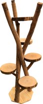 Catsy - Tree - Krabpaal Katten Natural Boomstam Klimboom Hout Design - Groen - 75 x 75 x 190 cm