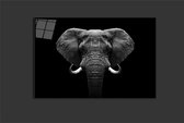 Elephant 2.0 100x65 plexiglas top kwaliteit van 5mm plexiglas met luxe ophangsysteem