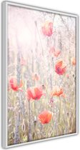 Poster - Poppies
