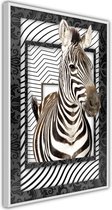 Zebra in the Frame