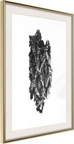 Texture of a Tree