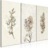 Schilderij - Herbarium (3 Parts).