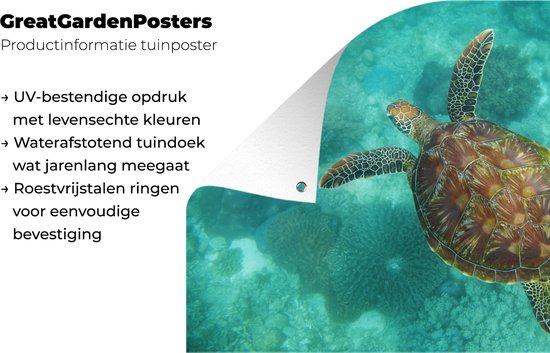 Affiche de jardin Tortue de mer au Reef d'Apo - 100x60 cm - Décoration murale Outdoor - Affiche de jardin - Toile de jardin - Affiche de clôture - Tableau de jardin