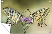 Tuindecoratie Vlinders - Bloemen - Insecten - 60x40 cm - Tuinposter - Tuindoek - Buitenposter