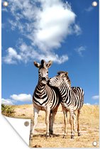 Décoration de jardin Deux zèbres dans le parc Kruger en Afrique du Sud - 40x60 cm - Poster jardin - Toile jardin - Poster extérieur
