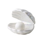 Oester Schaaltje Parel Wit Sieraden
