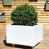 Bloembak, Plantenbak, Bloembak aluminium 60x60x32cm