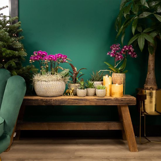 Paarse orchideeën op een houten tafel met kaarsen en andere planten.