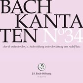 Choir & Orchestra Of The J.S. Bach Foundation, Rudolf Lutz - Bach: Bach Kantaten 34 (CD)