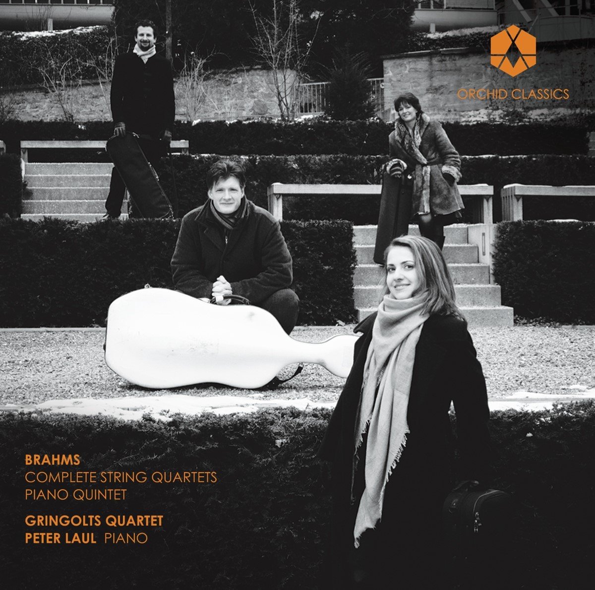 Gringolts Quartet, Peter Laul - Brahms: Complete String Quartets And Piano Quintet (2 CD)