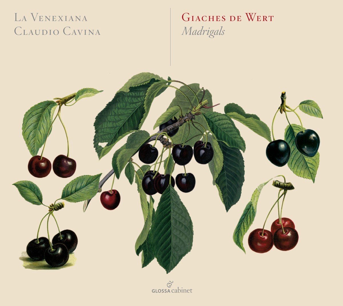 La Venexiana, Claudio Cavina - De Wert: Madrigals (CD)