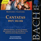 Bach-Ensemble, Helmuth Rilling - J.S. Bach: Cantatas Bwv 182-184 (CD)