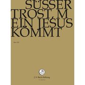 Chor & Orchester Der J.S. Bach-Stiftung, Rudolf Lutz - Bach: Susser Trost, Mein Jesus Komm (DVD)