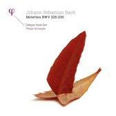 Collegium Vocale Gent, Philippe Herreweghe - Motetten Bwv 225-230 (2 LP)