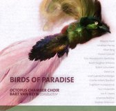 Octopus Chamber Choir, Bart Van Reyn - Birds Of Paradise (CD)