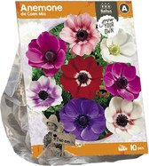 Baltus Anemone de Caen Mix bloembollen per 10 stuks