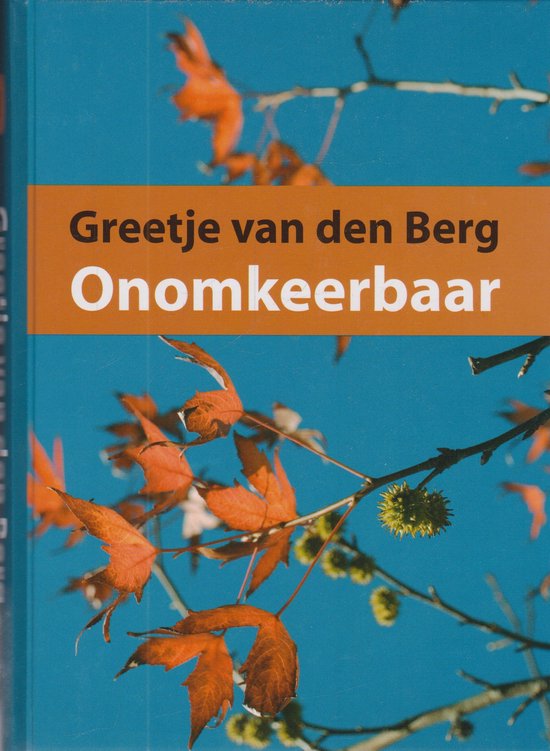 Onomkeerbaar - cover