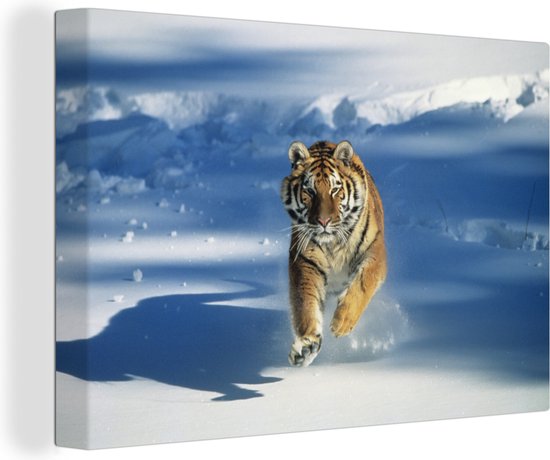 Canvas Schilderij Tijger - Sneeuw - Winter - 90x60 cm - Wanddecoratie