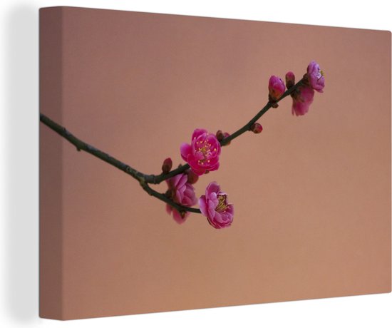 Canvas Schilderij Roze Japanse pruim bloesems - 30x20 cm - Wanddecoratie