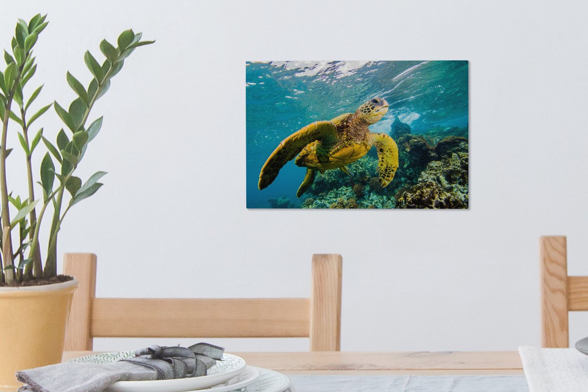 Tableau sur toile Tortue de mer nageant à Hawaï - 30x20 cm