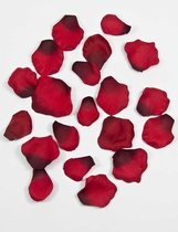 Pétales de rose de la Saint-Valentin