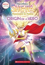 SHE-RA ORIGIN OF A HERO #1