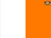 Partychimp Ierse Vlag Ierland - 90x150 Cm - Polyester - Groen/Wit/Oranje