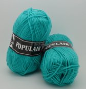 Beijer BV Populair acryl garen - licht turquoise (70) - 5 bollen